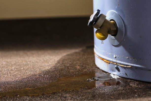 Best Water damage restoration cost  in Fullerton, NE