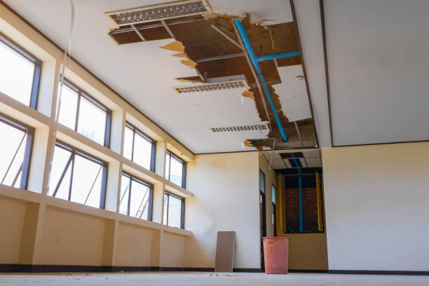 Best Ceiling water damage repair  in Fullerton, NE