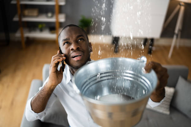 Best Sewage cleanup and water damage restoration  in Fullerton, NE