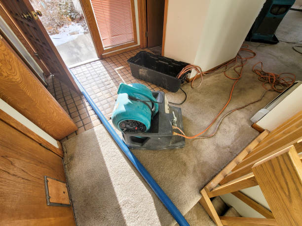 Best Flooded house restoration  in Fullerton, NE