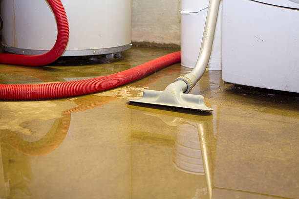 Best Fire Damage Restoration  in Fullerton, NE