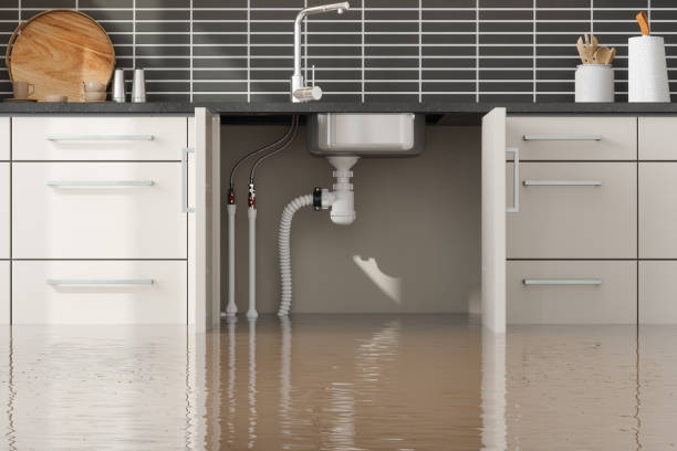 Water damage restoration mold remediation in NE