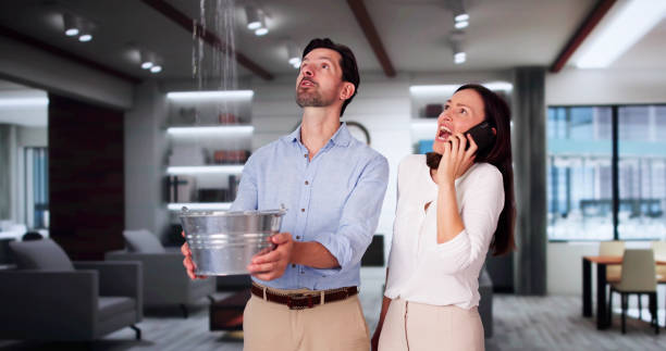 Best Water damage contractors near me  in Fullerton, NE